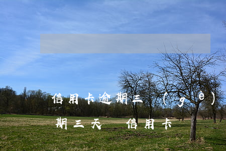信用卡逾期三個(gè)月讓我全額還錢(逾期三天還信用卡)