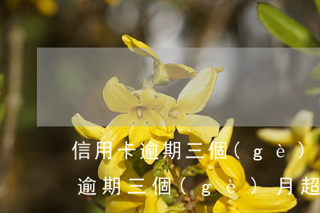 信用卡逾期三個(gè)月超過5萬(信用卡逾期三個(gè)月超過5萬)