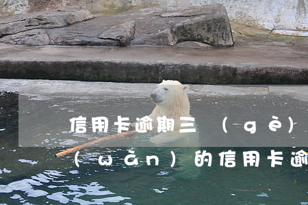 信用卡逾期三個(gè)月還了1百多 兩萬(wàn)的信用卡逾期好幾個(gè)月一直沒(méi)還嚴(yán)重嗎