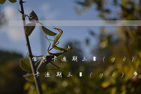 信用卡逾期三個(gè)月還款一半(欠信用卡逾期三個(gè)多月了還錢會(huì)有什么影響)