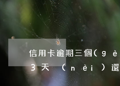 信用卡逾期三個(gè)月還款日嗎(信用卡3天內(nèi)還款算逾期嗎)