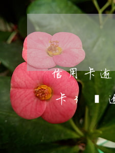 信用卡逾期三個(gè)月還清銷卡(欠信用卡3萬逾期三個(gè)月)