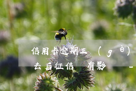 信用卡逾期三個(gè)月還進(jìn)去后征信還有影響嗎-信用卡逾期三個(gè)月還進(jìn)去后征信還有影響嗎