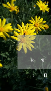 信用卡逾期三個(gè)月銀行來(lái)電(每個(gè)月信用卡逾期三天)