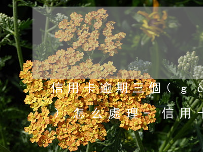信用卡逾期三個(gè)月銀行會(huì)怎么處理-信用卡逾期三個(gè)月銀行會(huì)怎么處理呢
