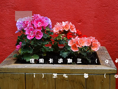 信用卡逾期三個(gè)月銀行還會(huì)怎么樣(每個(gè)月信用卡逾期三天)