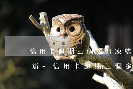 信用卡逾期三個多月凍結(jié)了怎么辦-信用卡逾期三個多月凍結(jié)了怎么辦呢