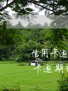 信用卡逾期三個月上報總行怎么辦-欠信用卡逾期3個月以上,銀行催收怎么辦?
