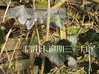 信用卡逾期三個月了還能用么