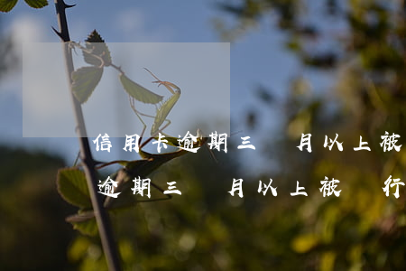 信用卡逾期三個月以上被銀行起訴-信用卡逾期三個月以上被銀行起訴怎么辦