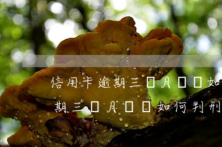 信用卡逾期三個月兩萬如何判刑-信用卡逾期三個月兩萬如何判刑的