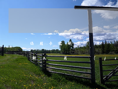 信用卡逾期三個月凍結(jié)（信用卡逾期三個月凍結(jié)）