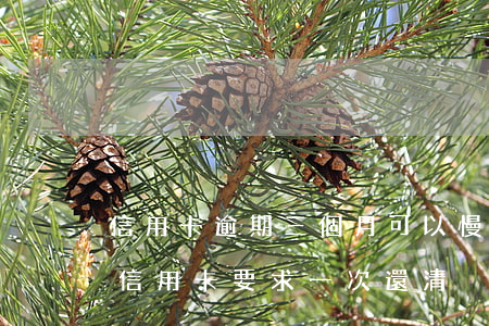 信用卡逾期三個月可以慢慢還嗎(逾期三個月信用卡要求一次還清)