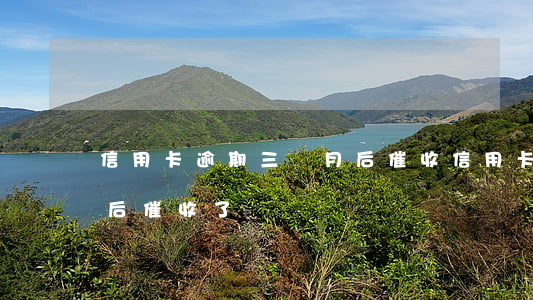信用卡逾期三個月后催收 信用卡逾期三個月后催收了