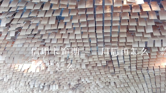 信用卡逾期三個月后再怎么還款(還信用卡逾期了怎么辦)
