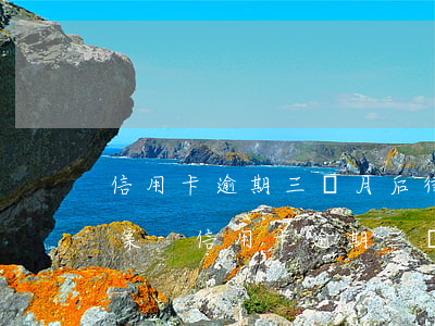 信用卡逾期三個月后律師說要結(jié)案-信用卡逾期三個月后律師說要結(jié)案是真的嗎