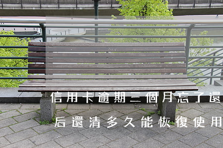 信用卡逾期三個月忘了還(信用卡逾期三個月后還清多久能恢復使用)