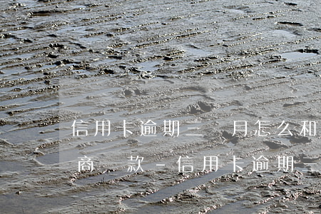 信用卡逾期三個月怎么和銀行協(xié)商還款-信用卡逾期三個月怎么和銀行協(xié)商還款呢