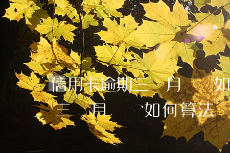 信用卡逾期三個月時間如何算法(信用卡逾期三個月時間如何算法)