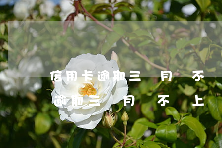 信用卡逾期三個月會不會上門催債-信用卡逾期三個月會不會上門催債呢