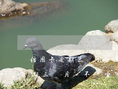 信用卡逾期三個月會不會坐牢6-信用卡逾期三個月會不會坐牢6年了