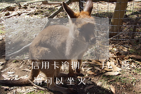 信用卡逾期三個月會影響坐車嗎(欠信用卡逾期可以坐火車嗎)
