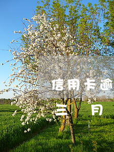信用卡逾期三個月會怎么樣(信用卡2萬逾期三個月會怎么樣)
