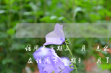 信用卡逾期三個月會怎么樣(現(xiàn)在信用卡逾期3個月了,我都不知道怎么辦)