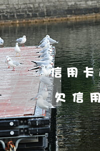 信用卡逾期三個月會有什么后果會坐牢不-欠信用卡逾期三個多月了還錢會有什么影響