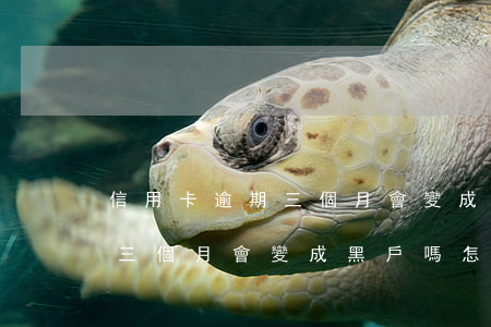 信用卡逾期三個月會變成黑戶嗎(信用卡逾期三個月會變成黑戶嗎怎么辦)