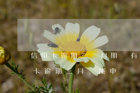 信用卡逾期三個月期間有還一點(我之前信用卡逾期三月還能申請嗎)