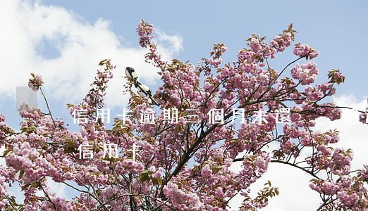 信用卡逾期三個月未還夠-超過三個月未還信用卡