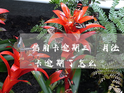 信用卡逾期三個月法務部怎么辦(好幾張信用卡逾期了怎么辦)