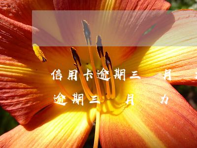 信用卡逾期三個月無力還錢怎么辦-信用卡逾期三個月無力還錢怎么辦呢