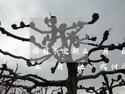 信用卡逾期三個月無法一次付清(信用卡逾期三個月無法一次付清怎么辦)