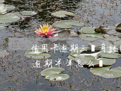 信用卡逾期三個月能還款一半-信用卡3萬逾期半年怎么辦