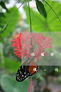 信用卡逾期三個月被凍結(jié)怎么處理-信用卡逾期三個月被凍結(jié)怎么處理呢