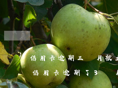 信用卡逾期三個月被立案了怎么辦-好幾張信用卡逾期了3個月會怎么樣