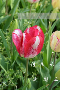 信用卡逾期三個月被起訴可能大嗎-信用卡逾期三個月被起訴可能大嗎知乎