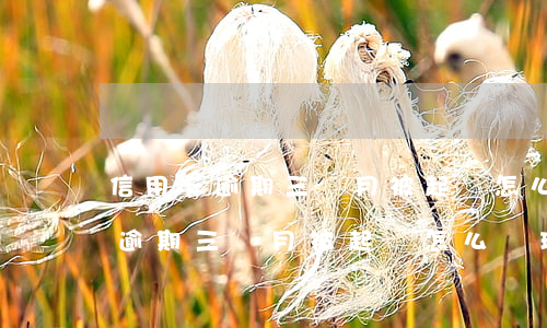 信用卡逾期三個月被起訴怎么處理-信用卡逾期三個月被起訴怎么處理呢