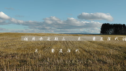 信用卡逾期三個月說要逮捕我(信用卡逾期三個月說要逮捕我)