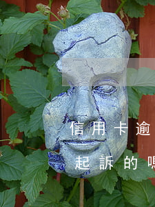 信用卡逾期三個月說起訴我(有信用卡逾期被起訴的嗎)