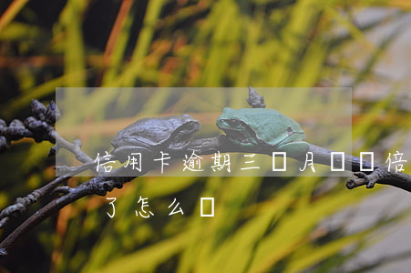 信用卡逾期三個月變雙倍(信用卡逾期被翻倍了怎么辦)