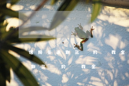 信用卡逾期三個月讓我全額還錢-信用卡逾期三個月讓我全額還錢怎么辦