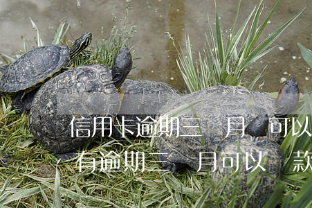 信用卡逾期三個月還可以使用(三年前信用卡有逾期三個月可以貸款嗎)