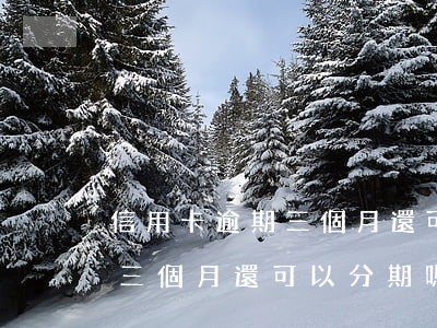 信用卡逾期三個月還可以分期嗎(信用卡逾期三個月還可以分期嗎嗎)