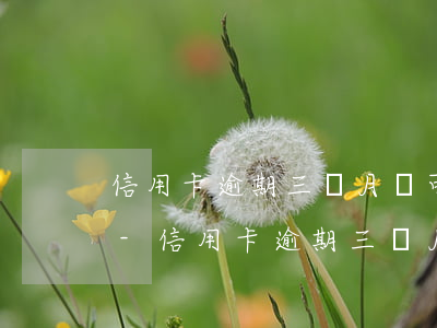 信用卡逾期三個月還可以協(xié)商嗎-信用卡逾期三個月還可以協(xié)商嗎