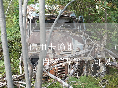 信用卡逾期三個月還可以用么(信用卡逾期三個月還清了還可以繼續(xù)用么)