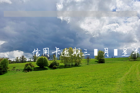 信用卡逾期三個月還是半年立案