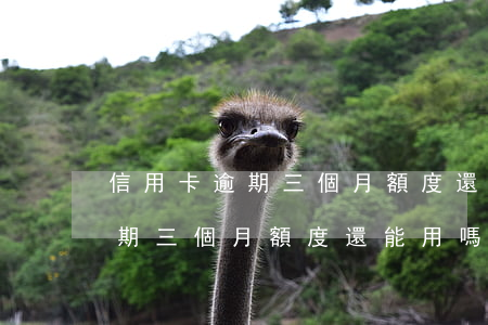 信用卡逾期三個月額度還能用嗎-信用卡逾期三個月額度還能用嗎貼吧